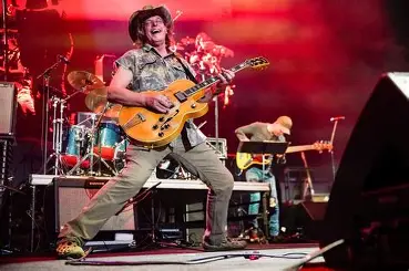 Ted Nugent guitar tuning reference image